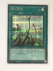 遊戯王 25th 竜の霊廟