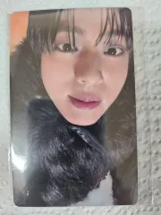 2025年最新】バードエコーの人気アイテム - メルカリ