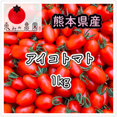 ＊熊本県産ミニトマト＊アイコトマト　1kg