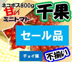 静岡県産ミニトマト　千果　チョイ傷・不揃い　800ｇ　セール品
