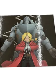 2025年最新】鋼の錬金術師 box set-archives-の人気アイテム