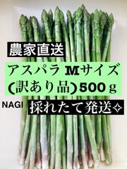 アスパラガス Mサイズ 即購入⭕️