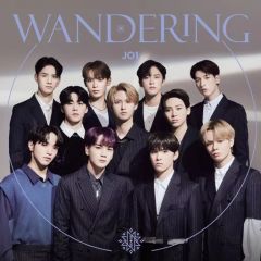 [중고]애니메이션계 CD JO1 / WANDERING[통상판] ~TV애니메이션[BORUTO-볼트- NARUTO NEXT GENERATIONS]ED테마