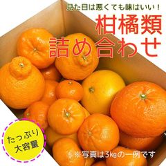 訳あり みかん 詰め合わせ 約3kg 規格外 みかん デコポン 八朔 せとか など 4～6種 柑橘 自宅用 果物詰め合わせ 果物 訳アリ 傷あり 汚れあり 産地サイズお任せ みかん 蜜柑 ミカン 訳ありみかん 大容量 果物セット フルーツ詰め合わせ