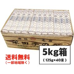 半田そうめん (手のべ) 5kg（125g×40束） 竹田製麺 徳島より発送