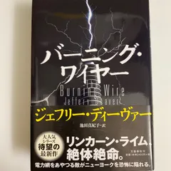 2024年最新】リンカーンライムシリーズの人気アイテム - メルカリ