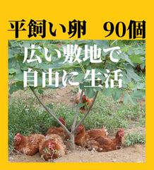 平飼い卵50個 常温発送 - メルカリ