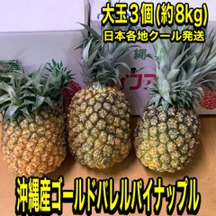 まゆりん様/沖縄産☆おすすめミニマンゴー(6kg)クール発送