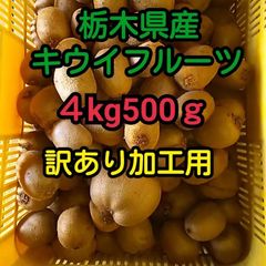 終了‼️ 栃木県産キウイフルーツ 訳あり加工用 4.5kg＋増量！