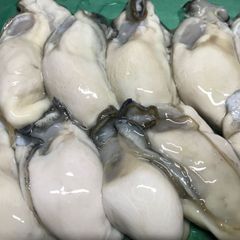 広島県産大粒冷凍牡蠣１キロ(2Lサイズ)