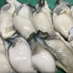 2024年最新】牡蠣 かき 広島県産の人気アイテム - メルカリ