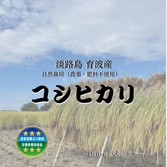 自然栽培　2024年10月下旬収穫　コシヒカリ（栽培期間中 農薬・肥料不使用）