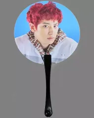 EXO うちわクッションカバー大判フォト公式グッズセフンチャニョル