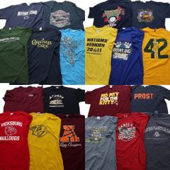 古着卸 まとめ売り カラーmix プリント 半袖Tシャツ 20枚セット (メンズ XL ) 英文字プリント ワンポイント チームロゴ 中古 古着 NA7011