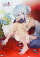 【中古】ポスター [単品] 描き下ろしイラストB2布ポスター ネルケ・フォン・ルシュターム 「PS Vita/Switchソフト ネルケと伝説の錬金術士たち ～新たな大地のアトリエ～ プレミアムBOX/20周年記念ボックス」 同梱特典