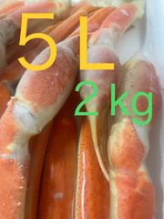 特大　５L  2kg ボイル　本ズワイ蟹　セクション　2kg（5肩）