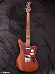 Epiphone Firebird ギアレスチューナーエレキギター ギグバッグ付