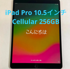 【美品】iPad Pro 10.5インチ Cellularモデル  256GB