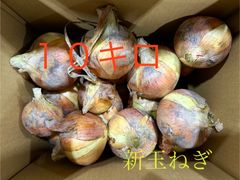 山梨県産　新玉ねぎ１０キロ！