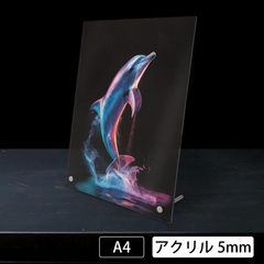 『虹イルカ　<NO.003>（Rainbow dolphin）』　《ショップオリジナル》《レインボーシリーズ》　A4 アクリル《OR-AC》