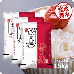 米 15kg 新之助 お米 15キロ 令和6年産 新潟産 しんのすけ 一等米 産地直送 白米 精米 5kgx3袋 送料無料 (沖縄のぞく)