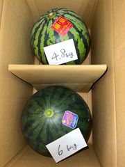 北海道沖縄離島追加送料無し　熊本県産赤肉すいか《羅皇ザスウィート4.8kg》黄色すいか《ムーンフラッシュ6kg》現品販売