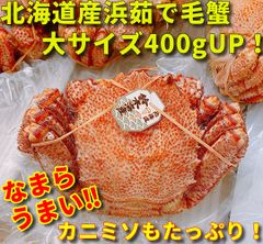 【送料無料】北海道産　浜茹で毛蟹