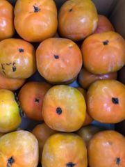 豊橋産　　訳あり　次郎柿　かき　約3ｋｇ