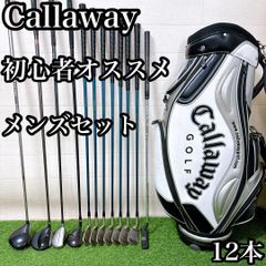 18【フードなし】初心者オススメ ゴルフクラブセット レディース