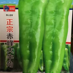 中国唐辛子　牛角椒 種　20粒　ピーマン　辣椒のサムネイル