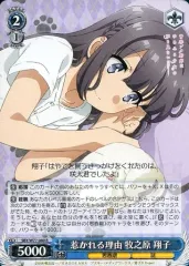 ヴァイス 青ブタ 牧之原翔子 デッキパーツ PR付き 20枚セット 未使用品