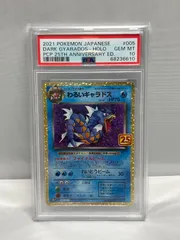 2025年最新】わるいギャラドス psa10の人気アイテム - メルカリ