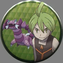 缶バッジコレクション ～シンオウ編～ : ポケモンセンターオンライン