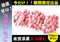 冷んやり濃厚な甘み！冷凍いちご　佐賀県産ベリーポップすず2kg