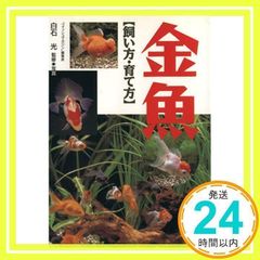 Item thumbnail for item 8e667261-8fb5-403c-8d83-827493ca92d1