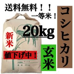 玄米　20kg  コシヒカリ　新米　埼玉県産　令和4年産　送料無料　米　20キロ