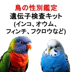 【羽根を送るだけ】鳥の性別鑑定 遺伝子検査キット (インコ、オウム、フィンチ、フクロウなど) DNA検査 性別判定【安心の国内検査】
