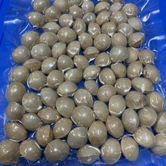 豊橋石巻の大木さん製造の　銀杏　約300ｇ入り（真空包装）