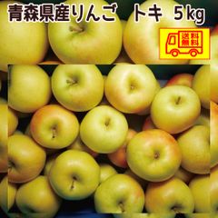 青森県産　りんご　ご家庭用　トキ　5ｋｇ　　送料無料！