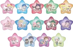 【中古】バッジ・ピンズ 全14種セット 「劇場版 美少女戦士セーラームーンCosmos×サンリオキャラクターズ オーロラスターカンバッジコレクション」