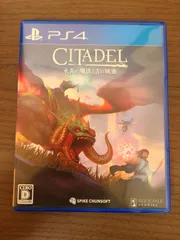 【PS4】シタデル：永炎の魔法と古の城塞