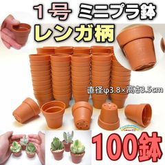 1号鉢ミニプラ鉢 [レンガ柄/レンガ模様] 100鉢＠1寸鉢：ミニプラ鉢に特化した品揃え！-1号プラ鉢100個セット＊多肉植物・塊根植物コーデックス・アガベ・サボテン・盆栽・観葉・ハオルチア・アデニウム・パキポディウム・実生＠フラワーショップ江口