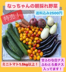 なっちゃんの朝採れ野菜【お得品】