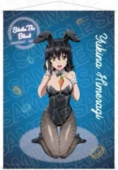Amazon.co.jp: 姫柊雪菜 タペストリー ストライク・ザ・ブラッド