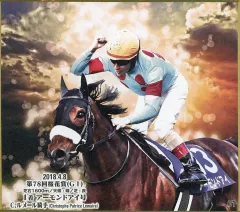 2025年最新】ルメール 騎手の人気アイテム - メルカリ