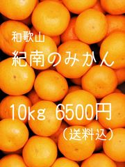 温州みかん 10kg