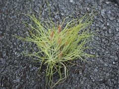 Ya5SQbPNR6jVJ7c2Z9MkNi.jpg@jpg