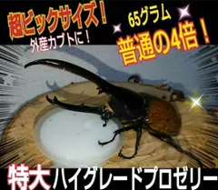 2024年最新】カブトムシ ゼリー 65gの人気アイテム - メルカリ