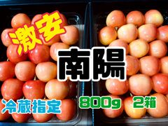 2 予約販売　北海道産　さくらんぼ　南陽　2箱