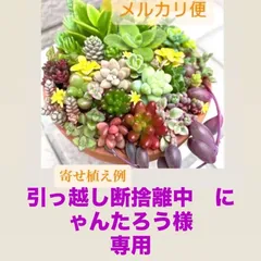 引っ越し断捨離中　にゃんたろう様　専用